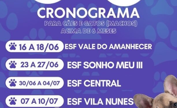 Castramóvel oferece atendimento gratuito para castração de animais em Costa Rica