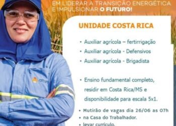 Costa Rica promove mutirão de vagas para auxiliares agrícolas nesta quinta-feira