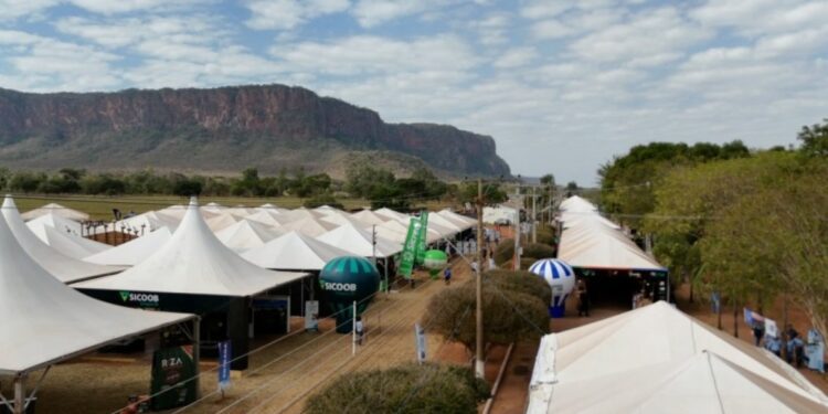 Economia criativa e agricultura familiar levam shows, feiras, cultura e informação para o Pantanal Tech MS