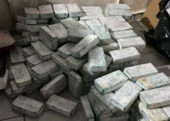 Operação da segurança pública de MS apreende de 475 kg de cocaína no Dia Internacional contra as Drogas