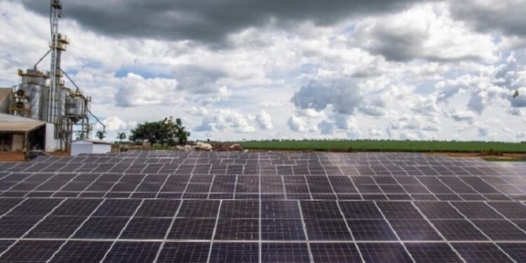 Sanesul alia obras de saneamento e energia limpa em compromisso com a responsabilidade ambiental