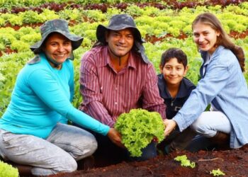 Novo recorde nas vendas da agricultura familiar é projetado após movimentação de R$ 5,1 milhões em MS