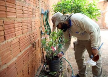 Saúde de Mato Grosso do Sul mobiliza 8 mil agentes para debater atuação integrada no SUS