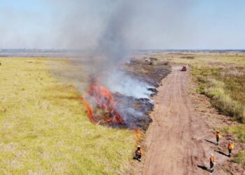 Imasul orienta sobre abertura de aceiros e procedimentos para atividades isentas de licenciamento
