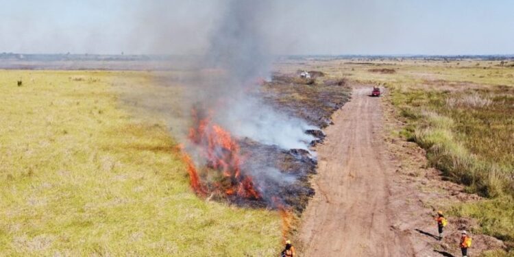 Imasul orienta sobre abertura de aceiros e procedimentos para atividades isentas de licenciamento