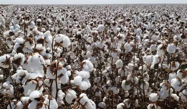 Costa Rica transforma renda do agro em serviços e lidera ranking social no MS