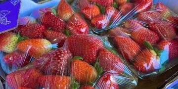 Ceasa: em meio a febre do morango do amor, procura pela fruta aumenta e preço já subiu 35%