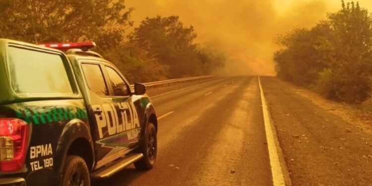Com multas que chegam a R$ 10 milhões, Estado endurece combate às queimadas