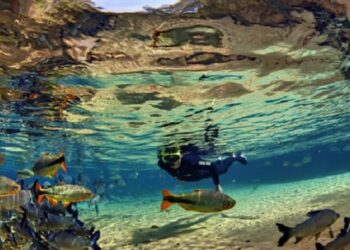 Mato Grosso do Sul promove destinos turísticos no B2Meet, em Natal