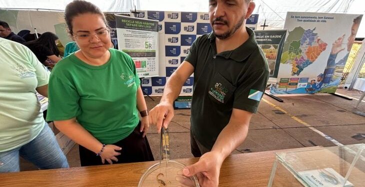 Com período de maior atividade dos escorpiões, SES de MS monitora avanço dos acidentes e reforça atendimento