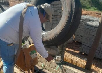 Após seminário, municípios de MS relatam impacto positivo das ovitrampas no controle das arboviroses