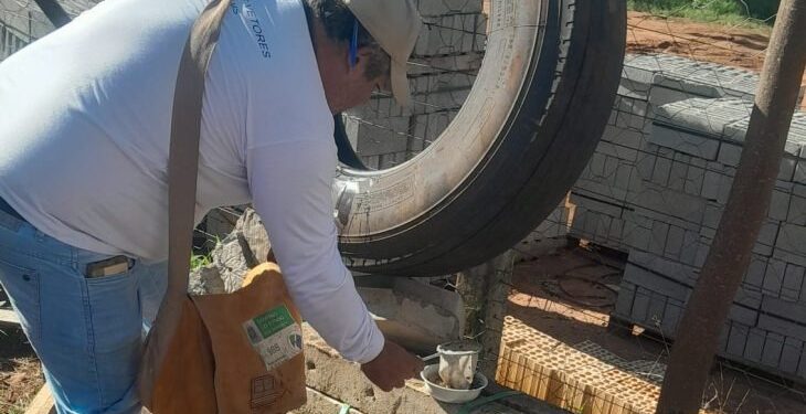 Após seminário, municípios de MS relatam impacto positivo das ovitrampas no controle das arboviroses