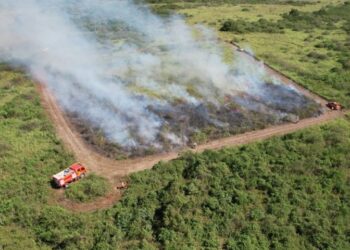 Governo de MS suspende queima controlada até novembro e amplia restrição no Pantanal para dezembro