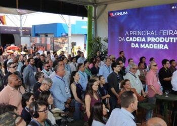 De estratégia a realidade: simplificação e visão de futuro ajudaram MS a consolidar Vale da Celulose