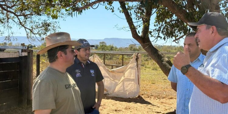 Inspeção em Alcinópolis inicia preparação para etapa do Circuito Norte de Laço Comprido