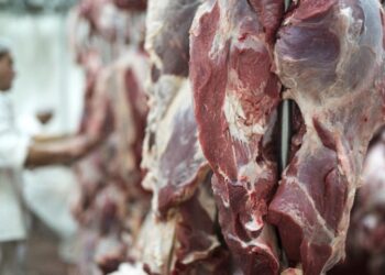 Comitiva destaca importância de ação governamental para abertura de mercado no continente asiático