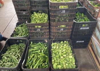 Mamão, quiabo, batata: saiba o que ficou mais barato na última semana de julho