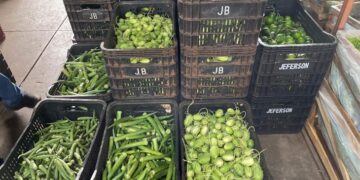 Mamão, quiabo, batata: saiba o que ficou mais barato na última semana de julho