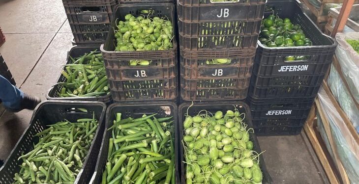 Mamão, quiabo, batata: saiba o que ficou mais barato na última semana de julho