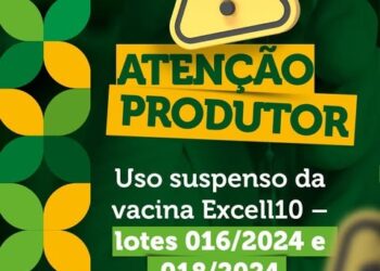 Vacina Excell10 tem aplicação interrompida após detecção de irregularidade em lotes