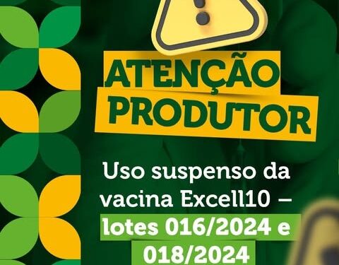Vacina Excell10 tem aplicação interrompida após detecção de irregularidade em lotes