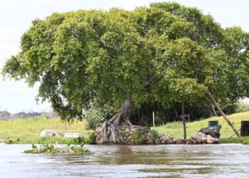 Imasul reforça monitoramento hidrológico e apresenta a situação dos rios em 2025