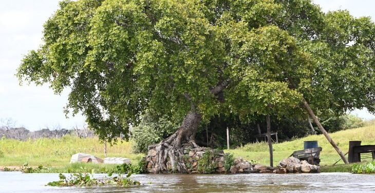 Imasul reforça monitoramento hidrológico e apresenta a situação dos rios em 2025