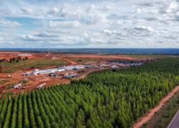 Governo do Estado investe em acessos estratégicos para impulsionar setor da celulose em MS