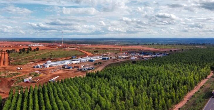Governo do Estado investe em acessos estratégicos para impulsionar setor da celulose em MS