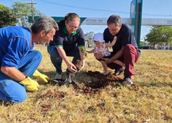 Plantio de ipês celebra 40 anos do Detran de MS e eterniza histórias de gerações