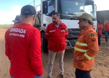 Decreto municipal estabelece plano de contingência contra fogo em Alcinópolis