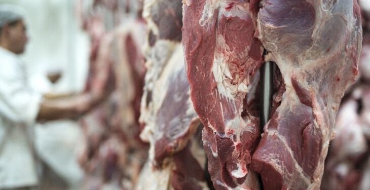 Exportações de MS somam US$ 7,24 bilhões até agosto e carne bovina cresce 43,7% no acumulado do ano