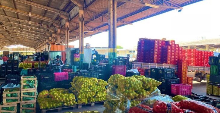 Mato Grosso do Sul amplia participação na Ceasa, com aumento de 18,78 % no volume comercializado