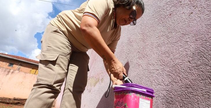 Boletim Epidemiológico: MS registra 8.095 casos confirmados de dengue