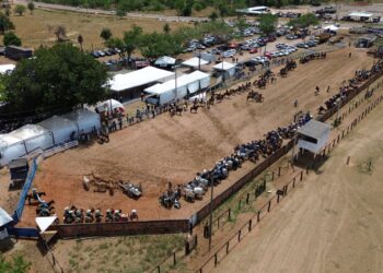 Cavalgada de Figueirão bate recorde de participantes e destaca apoio institucional