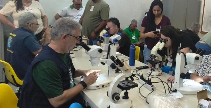 Coleta de vetores, testagem e alinhamento técnico: Saúde de MS antecipa combate à Febre Oropouche