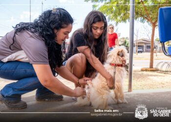 Campanha de vacinação antirrábica em São Gabriel do Oeste ganha novo “Dia D” neste sábado