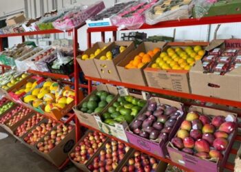 Frutas, verduras e sucesso: a Ceasa de MS que impulsiona negócios em todo o Estado