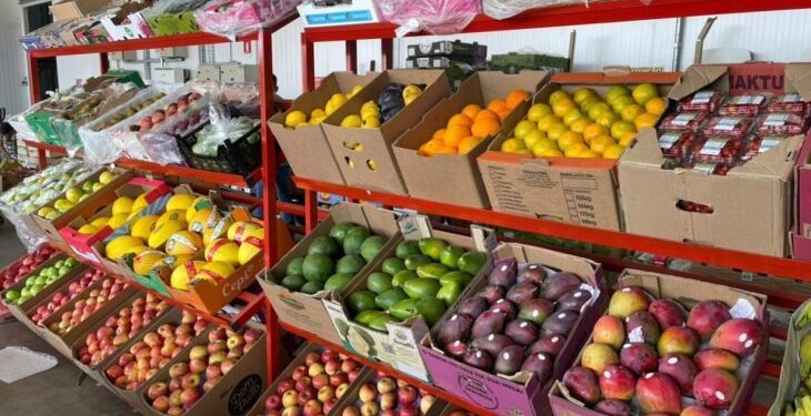 Frutas, verduras e sucesso: a Ceasa de MS que impulsiona negócios em todo o Estado