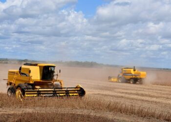 Celeiro para o mundo: MS se consolida como estado exportador de produtos para mais de 120 países