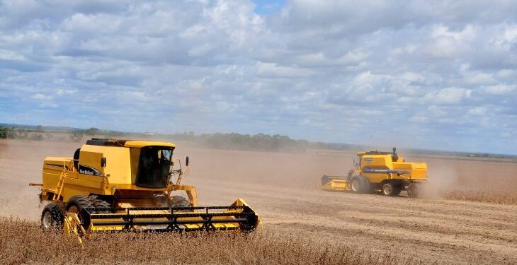 Celeiro para o mundo: MS se consolida como estado exportador de produtos para mais de 120 países