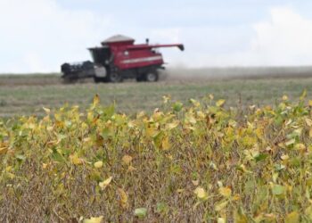 Começa plantio da maior safra de soja de Mato Grosso do Sul, com expectativa de colher 15 milhões de toneladas