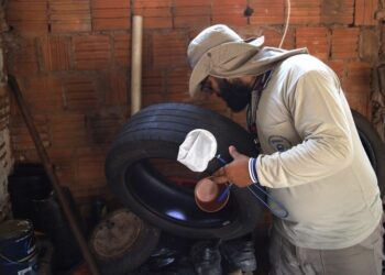 Boletim Epidemiológico: MS registra 8.172 casos confirmados de dengue