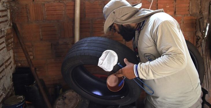 Boletim Epidemiológico: MS registra 8.172 casos confirmados de dengue