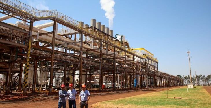 Setor de bioenergia é ‘portador do futuro’ dentro das políticas de transição energética do Governo de MS