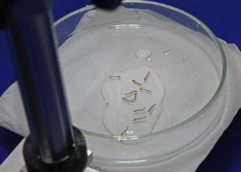 Boletim Epidemiológico: MS registra 8.187 casos confirmados de dengue