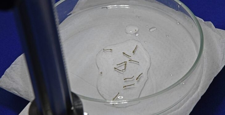 Boletim Epidemiológico: MS registra 8.187 casos confirmados de dengue