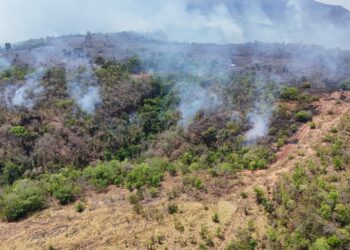 Prefeitura de Alcinópolis aciona regime emergencial para priorizar combate aos incêndios