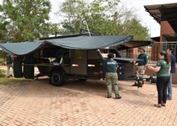 SamuVet: reabilitação de animais em MS ganha reforço e amplia parceria entre CRAS, Gretap e Ibama