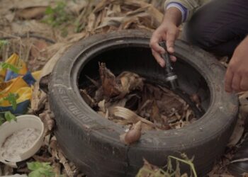 Boletim Epidemiológico: MS registra 8.252 casos confirmados de dengue